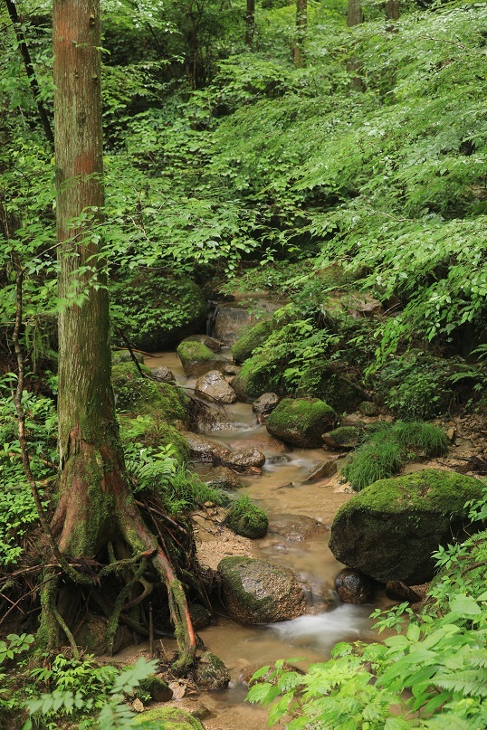 e0304170_12523019.jpg