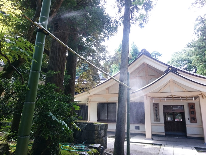 d0095673_16372957.jpg