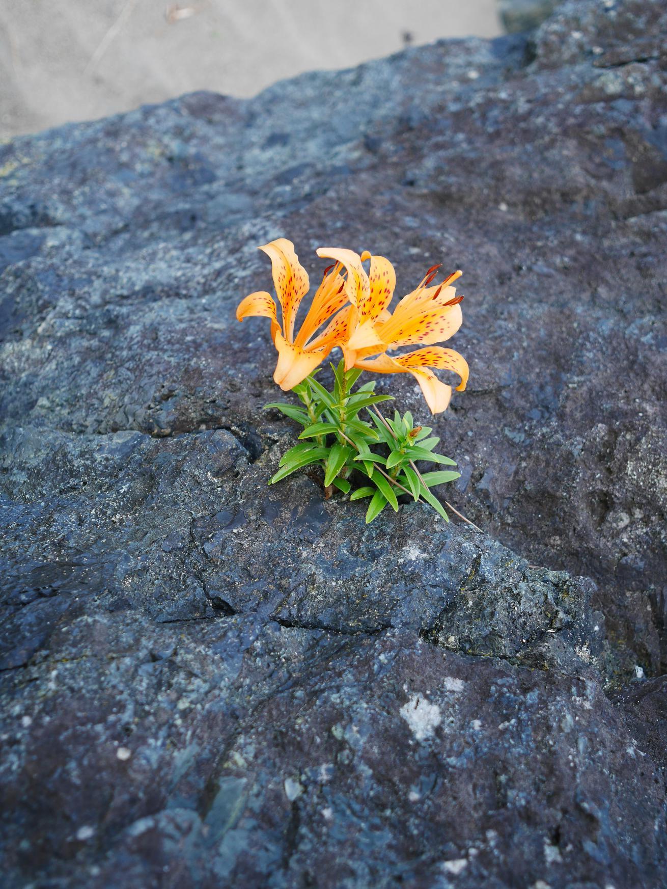 f0377679_08271157.jpg