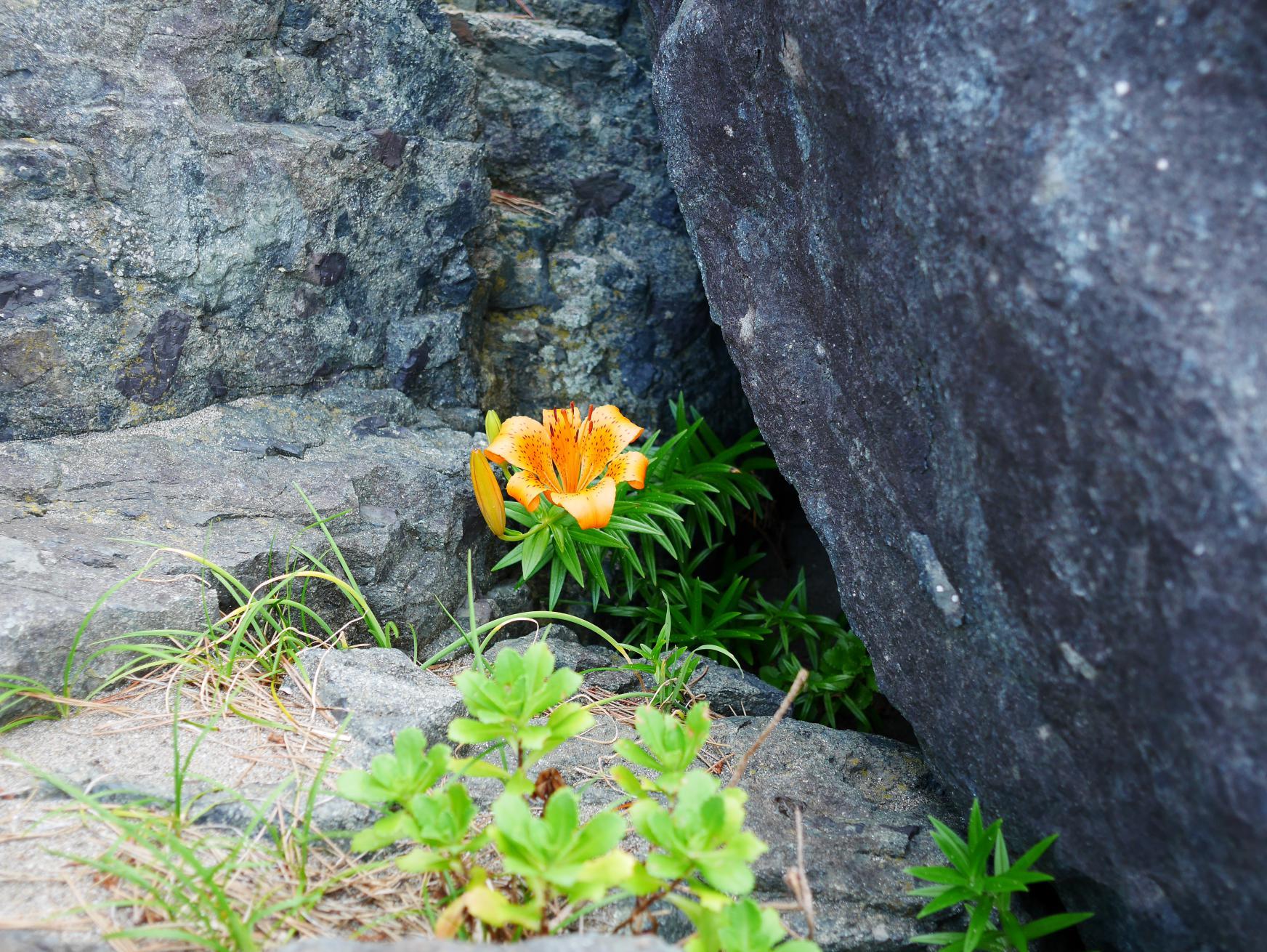 f0377679_08274629.jpg