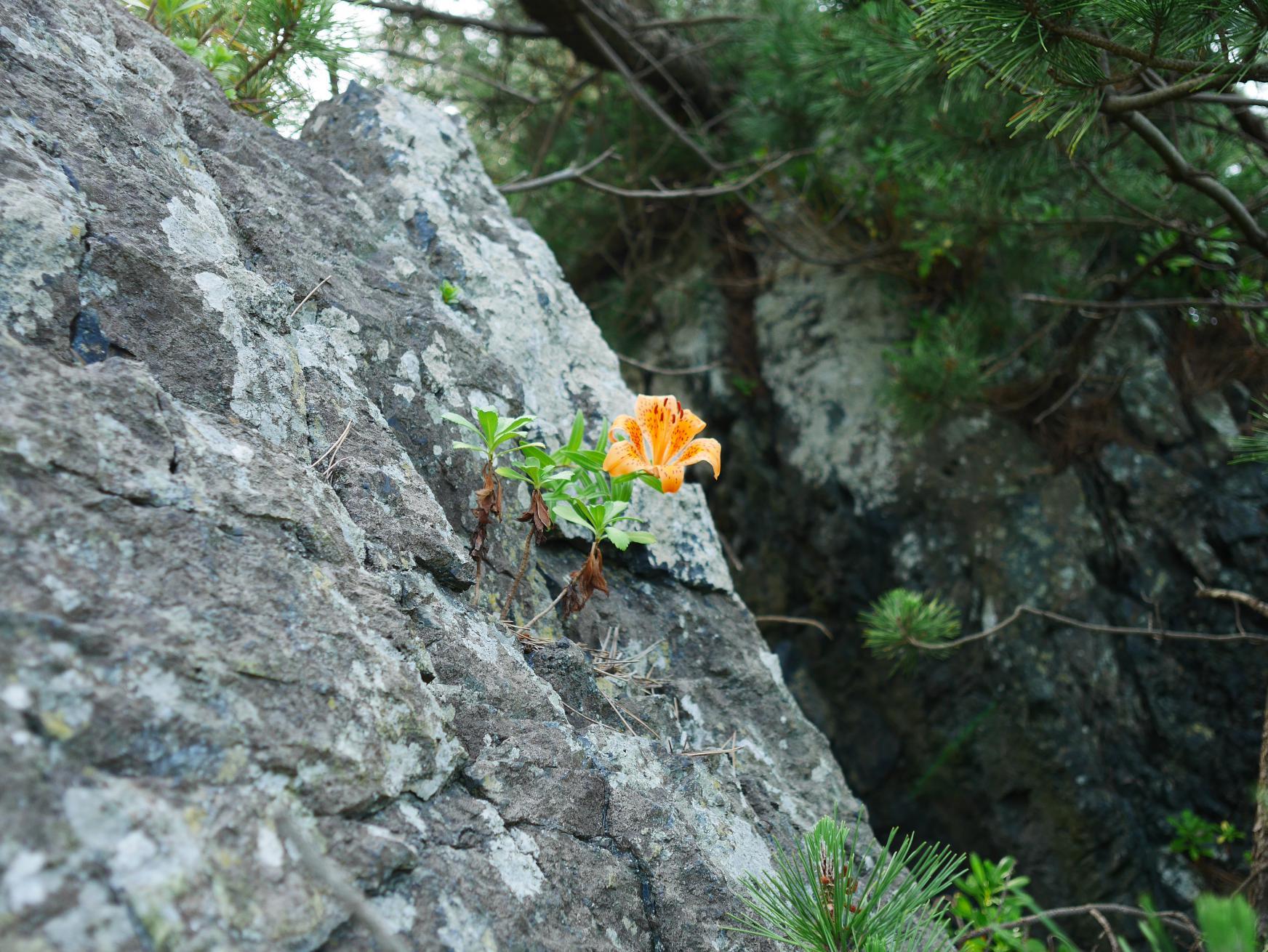 f0377679_08283638.jpg