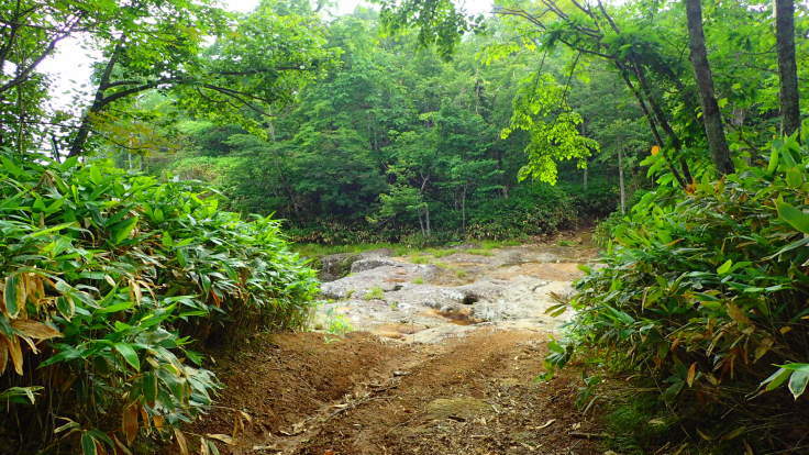a0242984_16383168.jpg