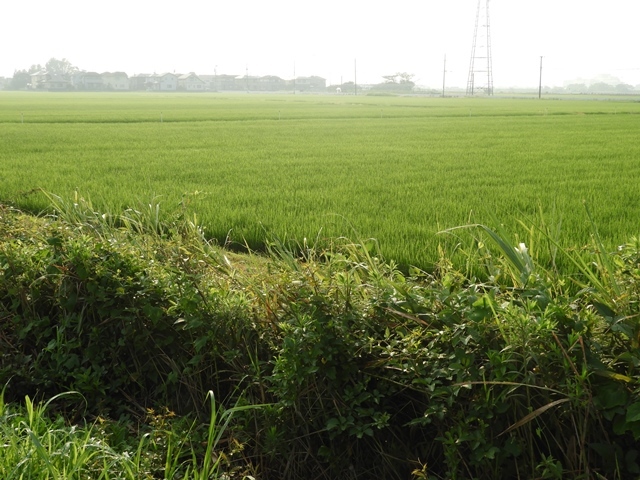 f0357487_22575344.jpg