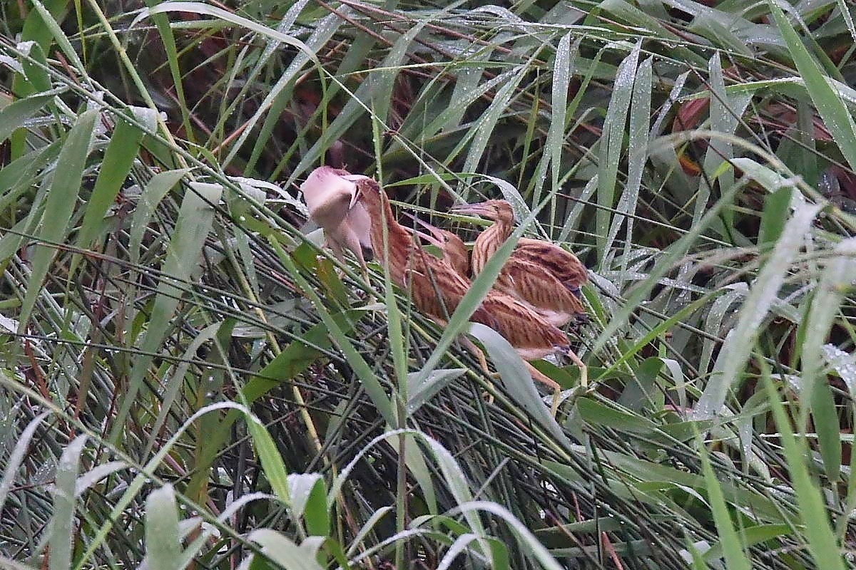 c0144588_14421113.jpg