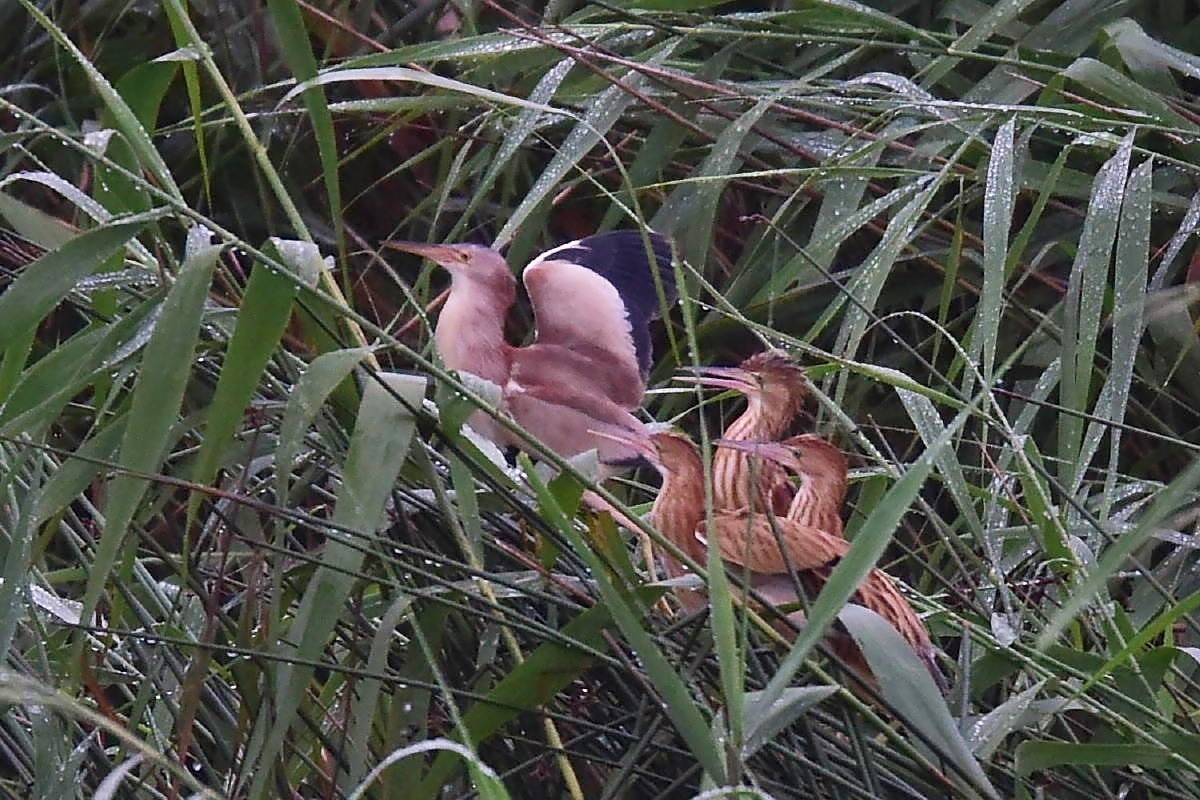 c0144588_14421940.jpg