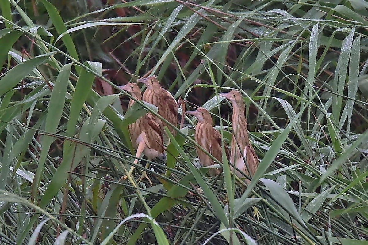 c0144588_14422765.jpg