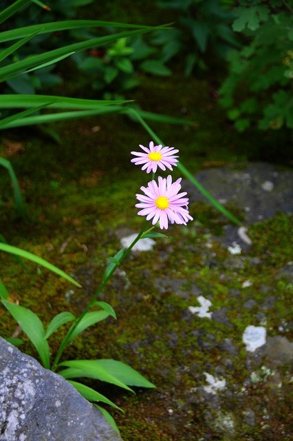 f0374092_14031581.jpg