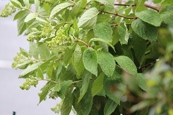f0325309_21231325.jpg