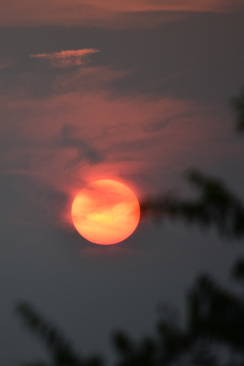f0368610_18330102.jpg
