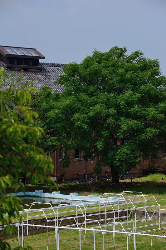 f0032011_21323444.jpg