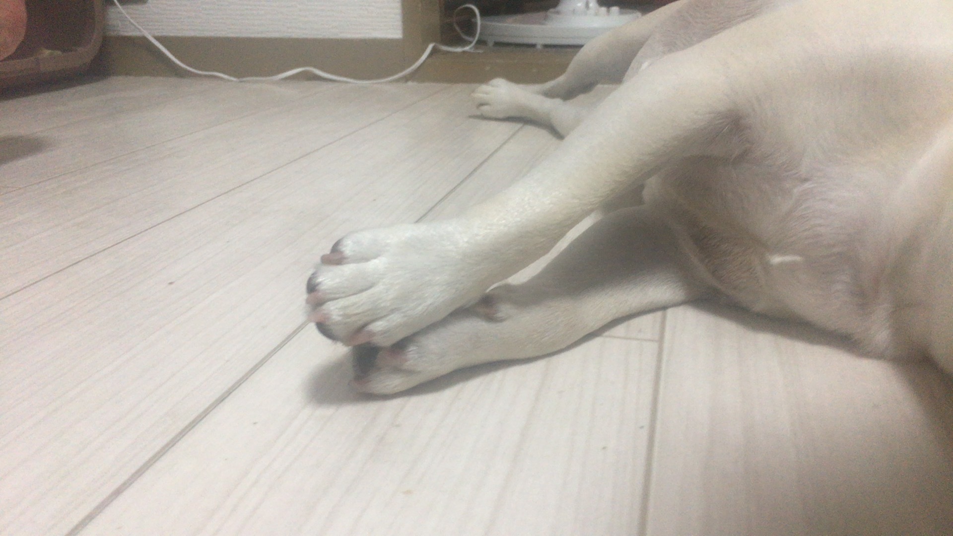 b0302512_00051150.jpg