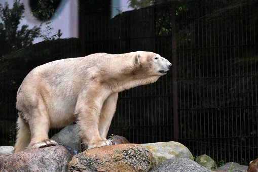 a0151913_8481490.jpg