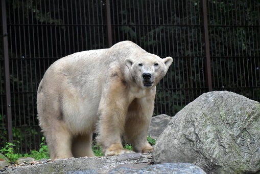a0151913_8531138.jpg