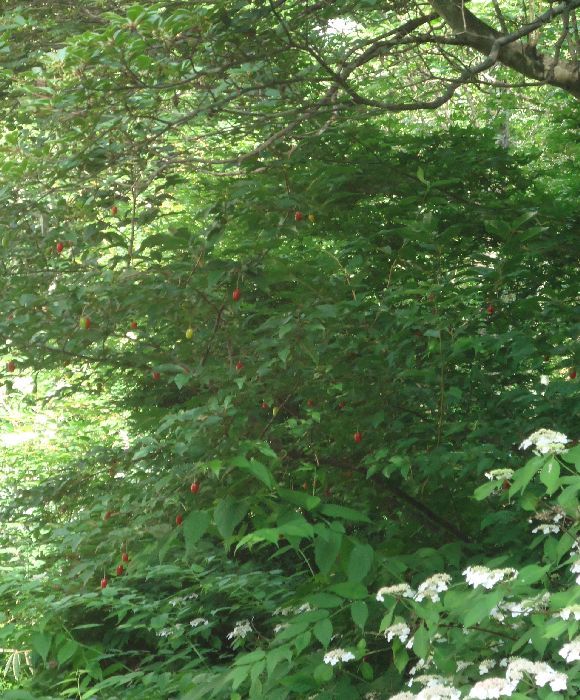 b0248920_00005900.jpg