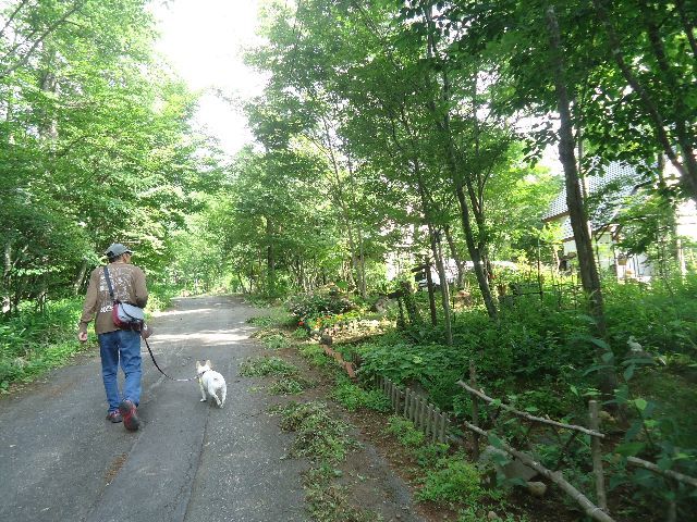 b0248920_00335214.jpg