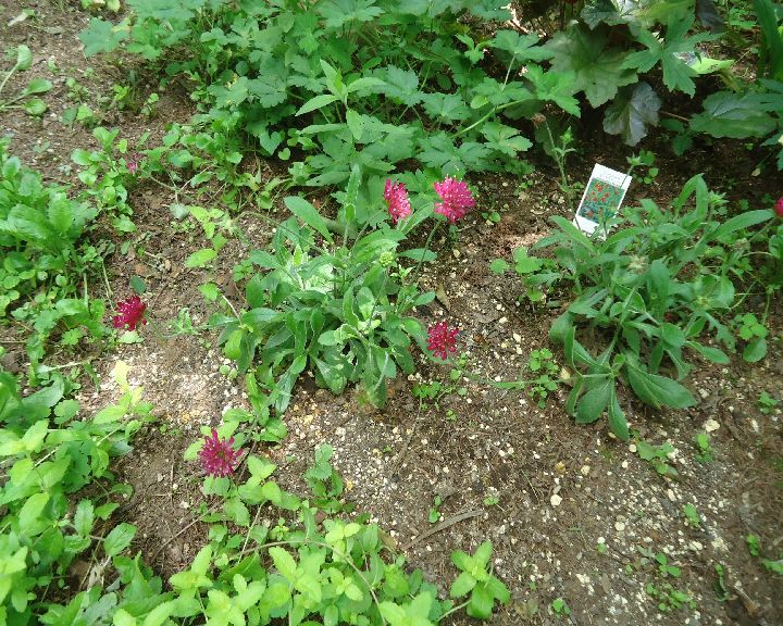 b0248920_06205121.jpg