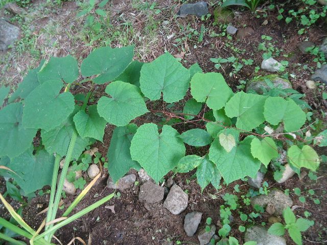 b0248920_06254510.jpg