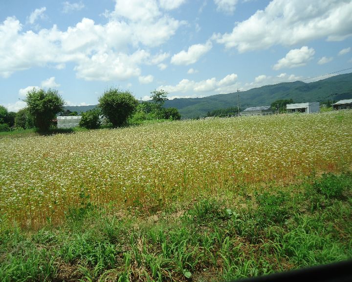 b0248920_06283186.jpg