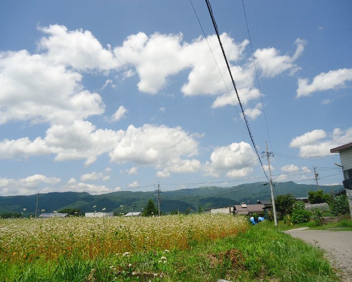 b0248920_06291513.jpg
