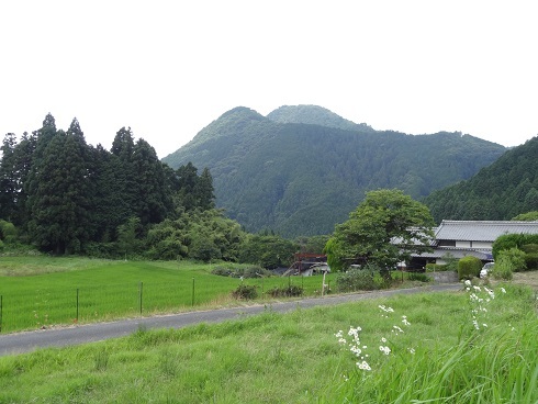 f0000521_08280446.jpg