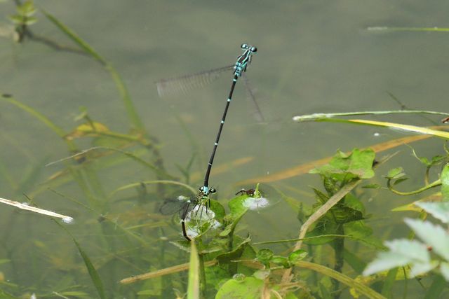 c0369423_14463421.jpg