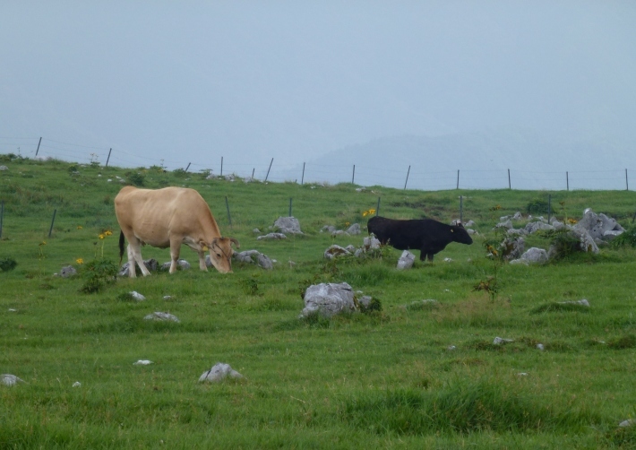 d0347025_22484410.jpg