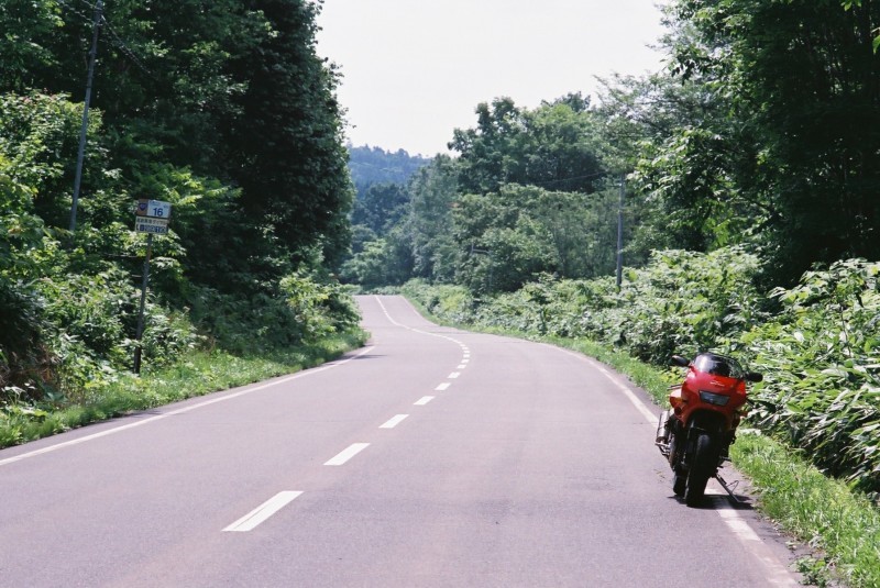 f0362725_14323501.jpg