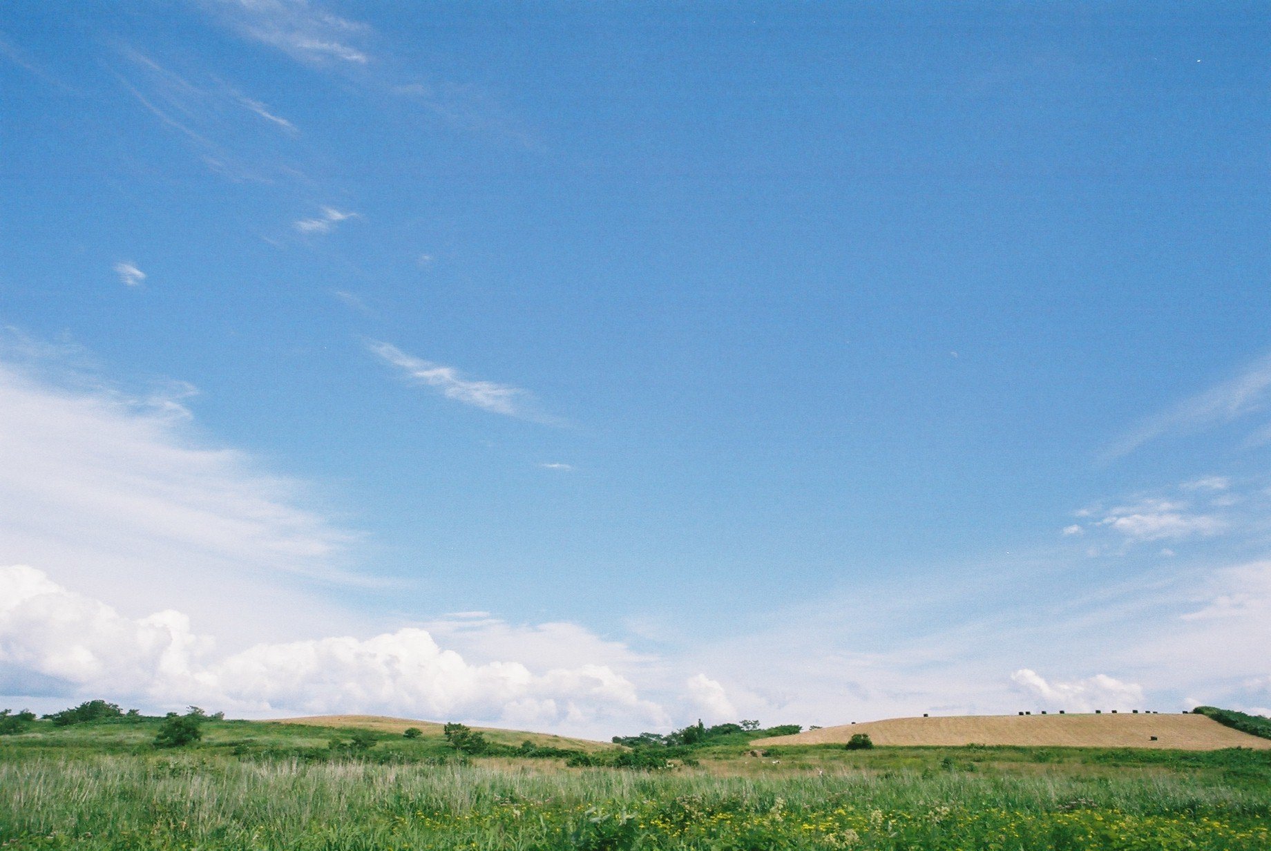 f0362725_14345586.jpg