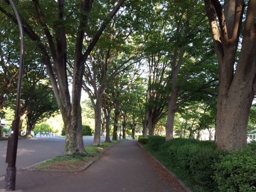 e0016828_23231909.jpg