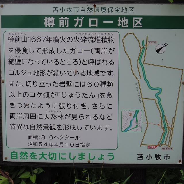 f0299329_12101272.jpg