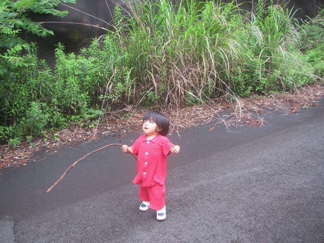d0285540_06551316.jpeg