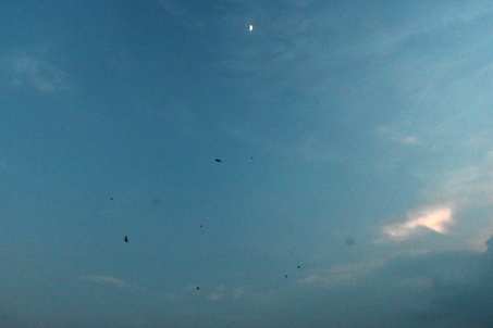 a0100742_10304934.jpg