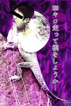 b0232447_22401009.png