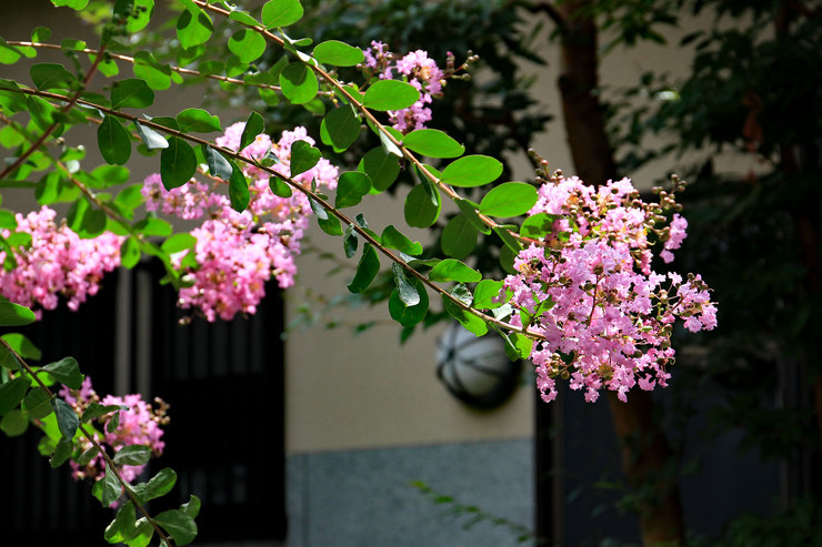 a0120949_642065.jpg