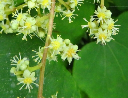a0018655_13540821.jpg