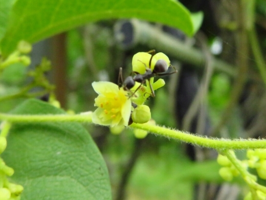 a0018655_13541150.jpg