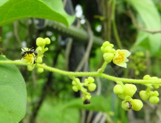 a0018655_13541404.jpg