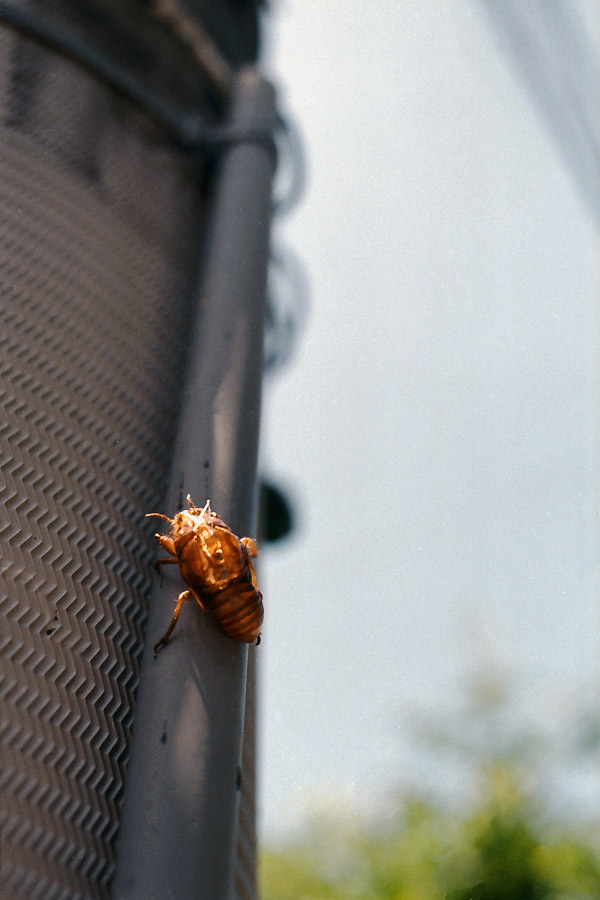 e0101258_20285381.jpg