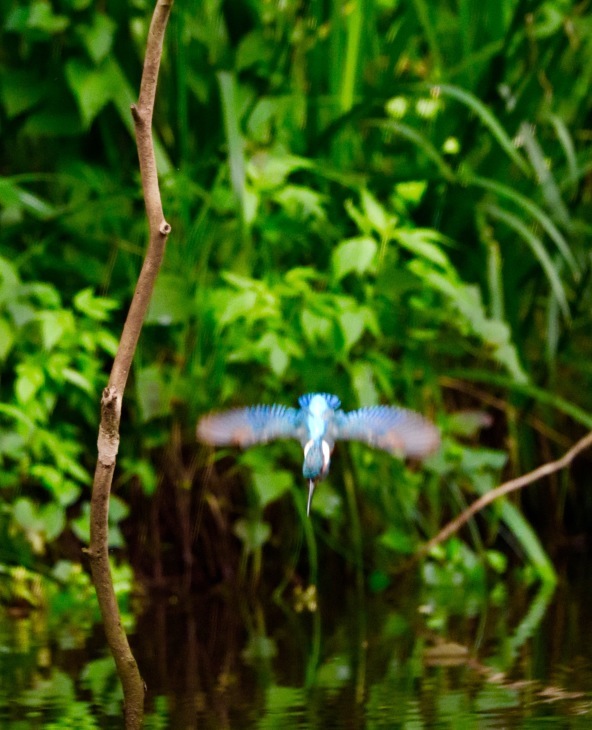 a0248459_14014764.jpg