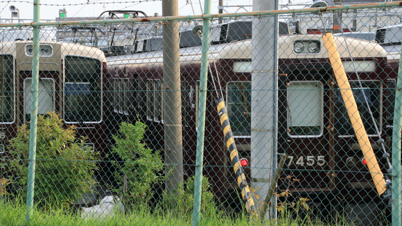 d0202264_19582089.jpg