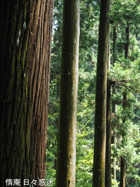 e0346064_17265996.gif