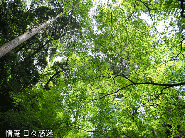 e0346064_17270063.gif