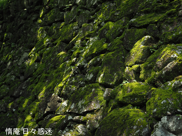 e0346064_17270113.gif