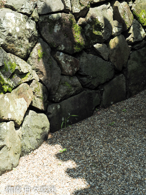e0346064_17270266.gif
