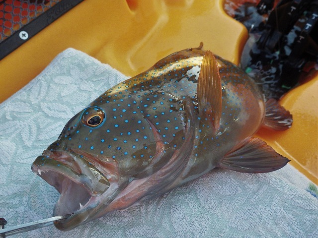 c0367066_15415983.jpg