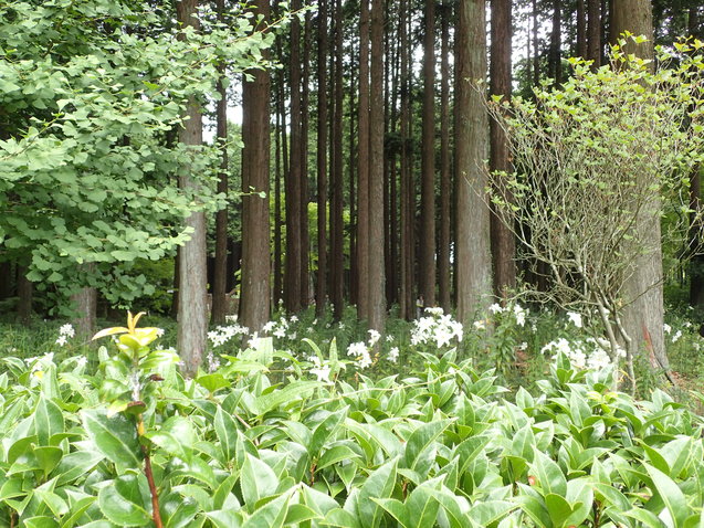 c0286574_849479.jpg