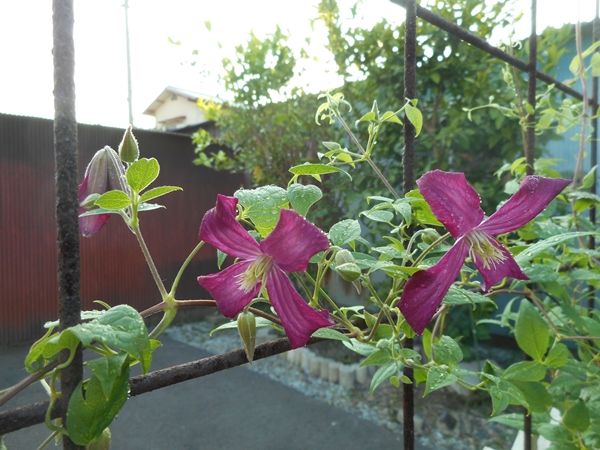 f0366679_20103394.jpg