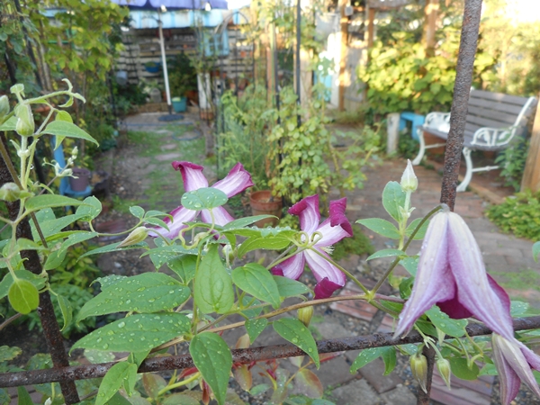 f0366679_201157.jpg