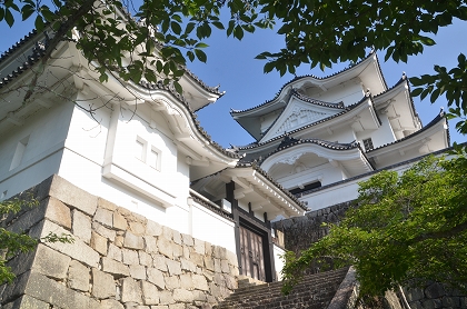 c0229483_22453289.jpg