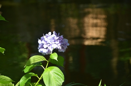 c0229483_9412134.jpg